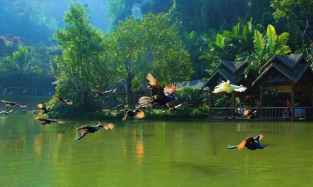 昌平区与锡林郭勒盟太仆寺旗对接对口帮扶工作